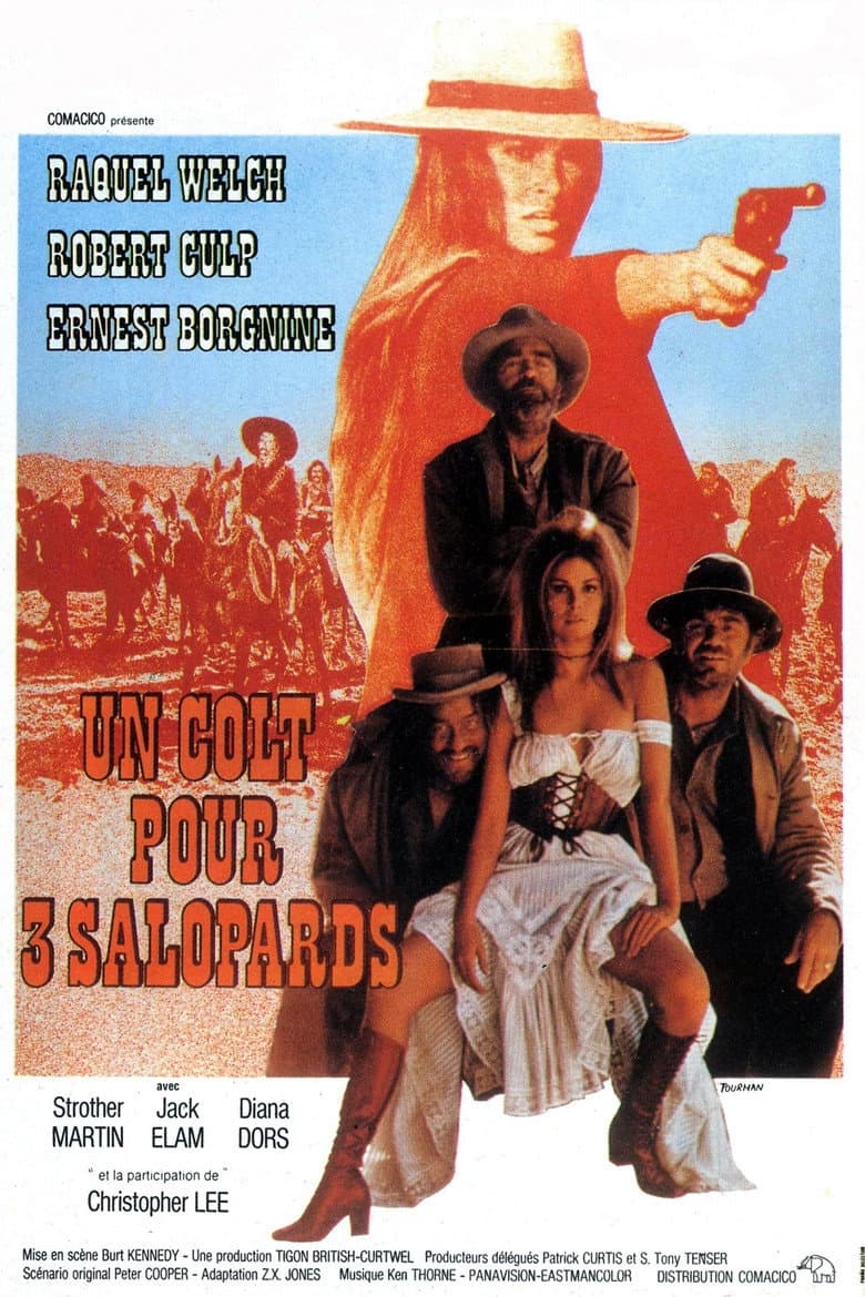 Affiche de Un Colt Pour 3 Salopards
