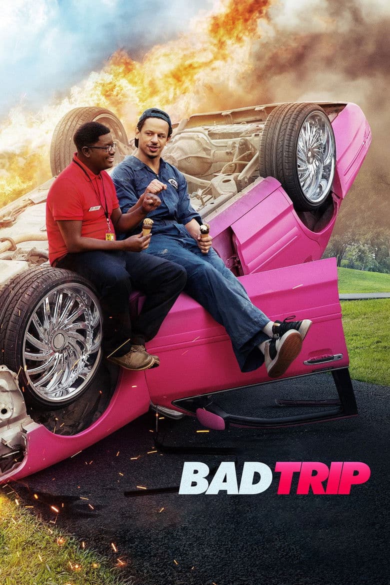 Affiche de Bad Trip