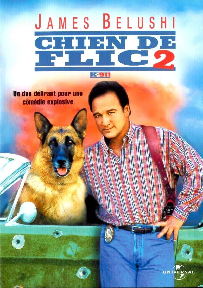 Affiche de Chien de flic 2