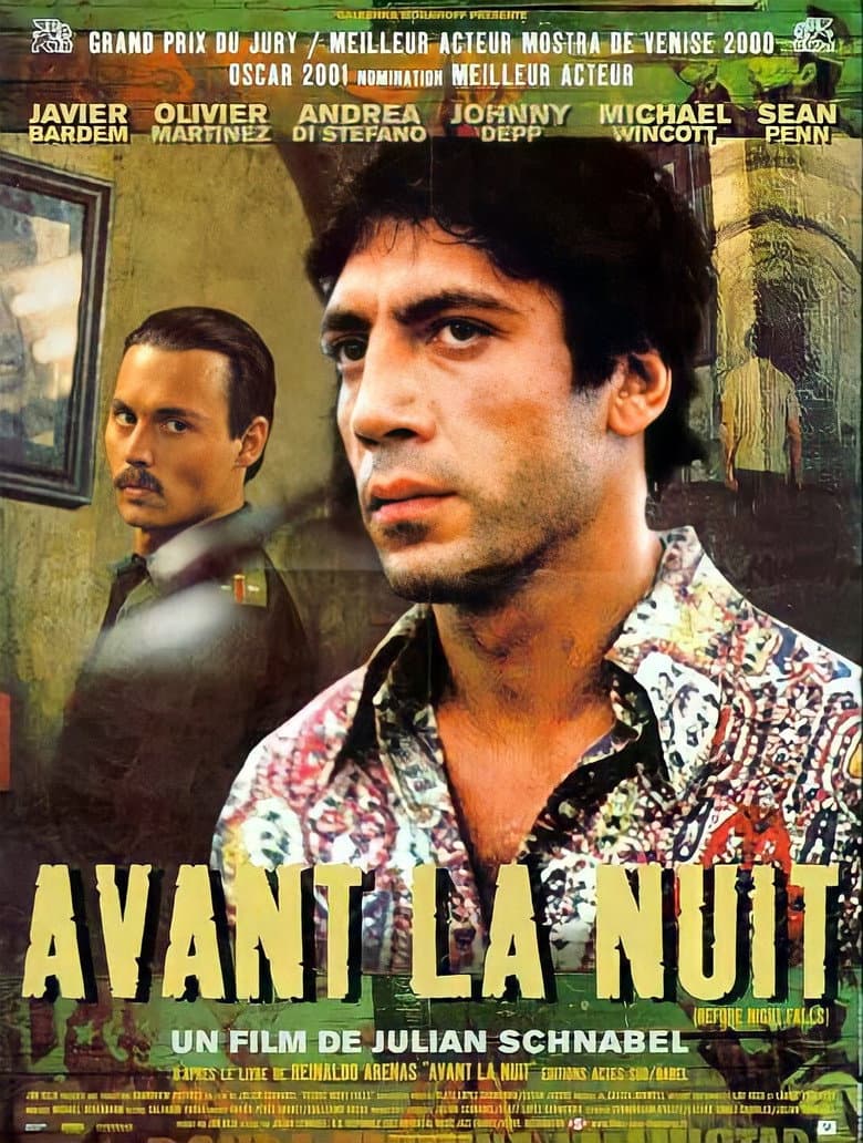 Affiche de Avant la nuit