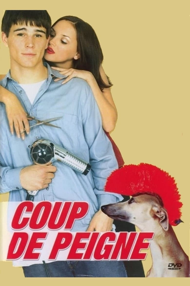 Affiche de Coup de peigne