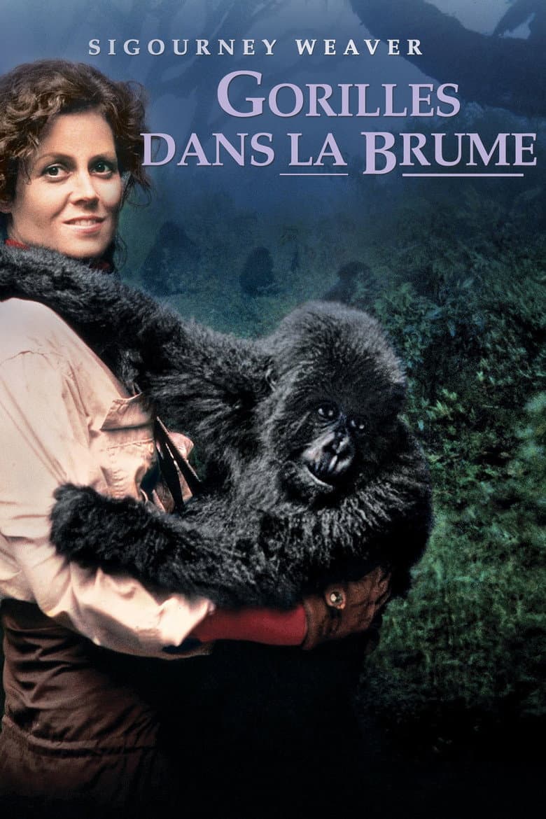 Affiche de Gorilles dans la Brume