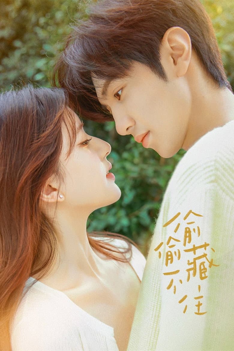 Affiche de Hidden Love