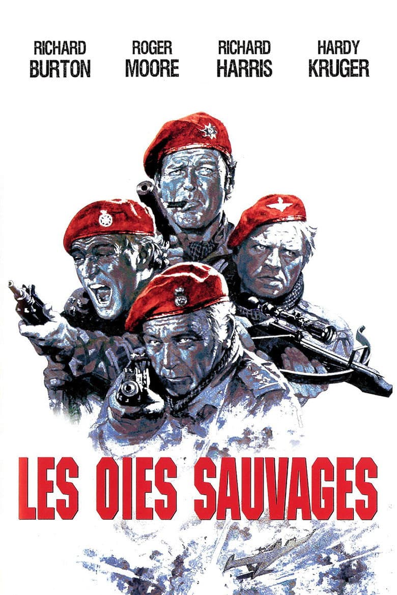 Affiche de Les Oies sauvages