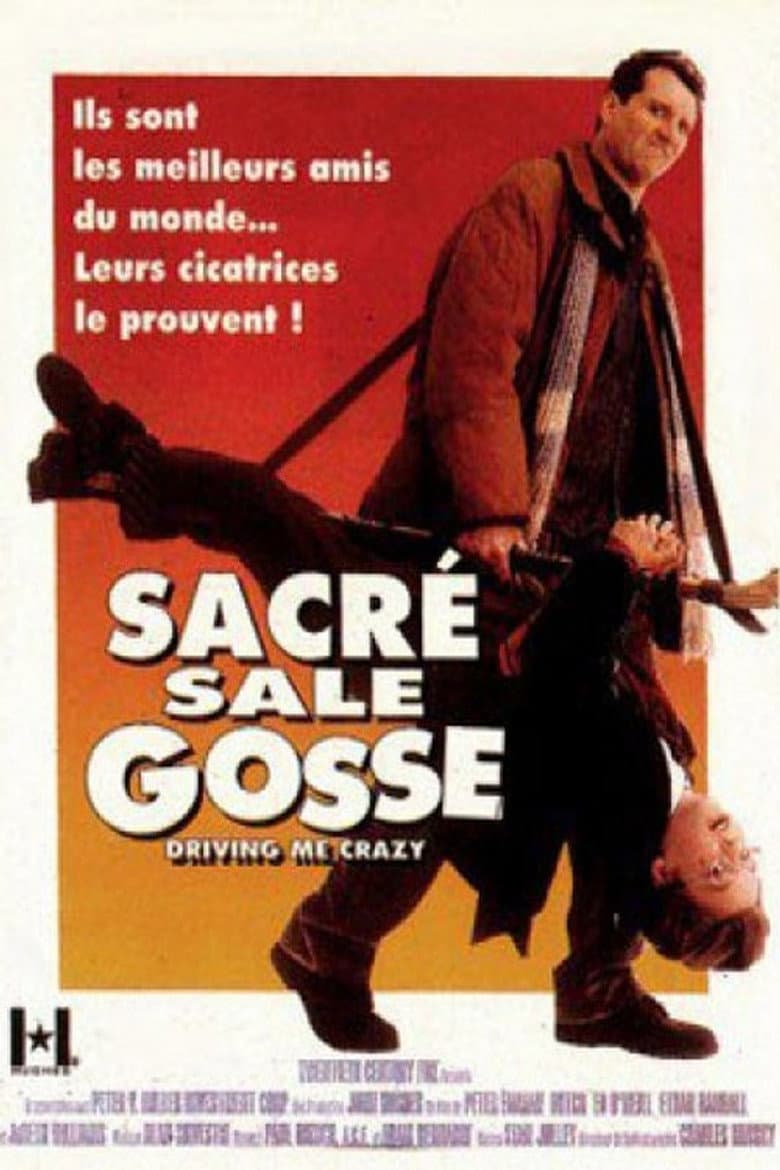 Affiche de Sacré sale gosse