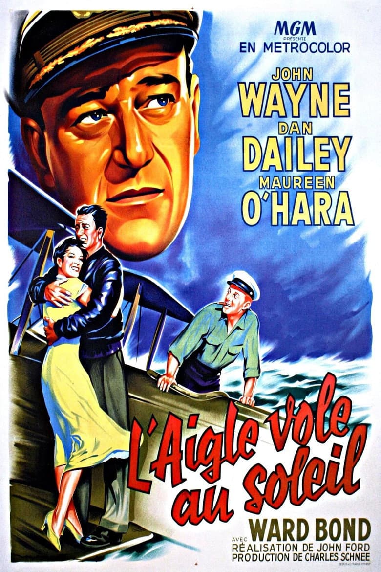 Affiche de L'aigle vole au soleil