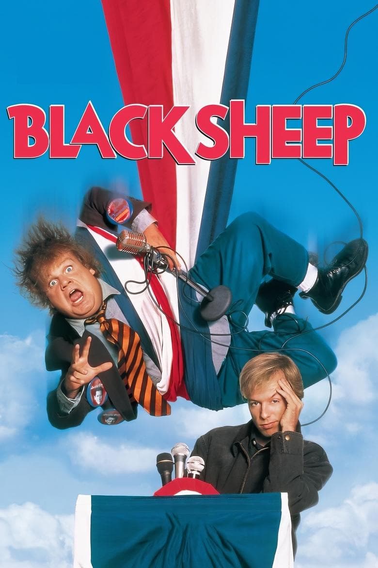Affiche de Le Mouton noir