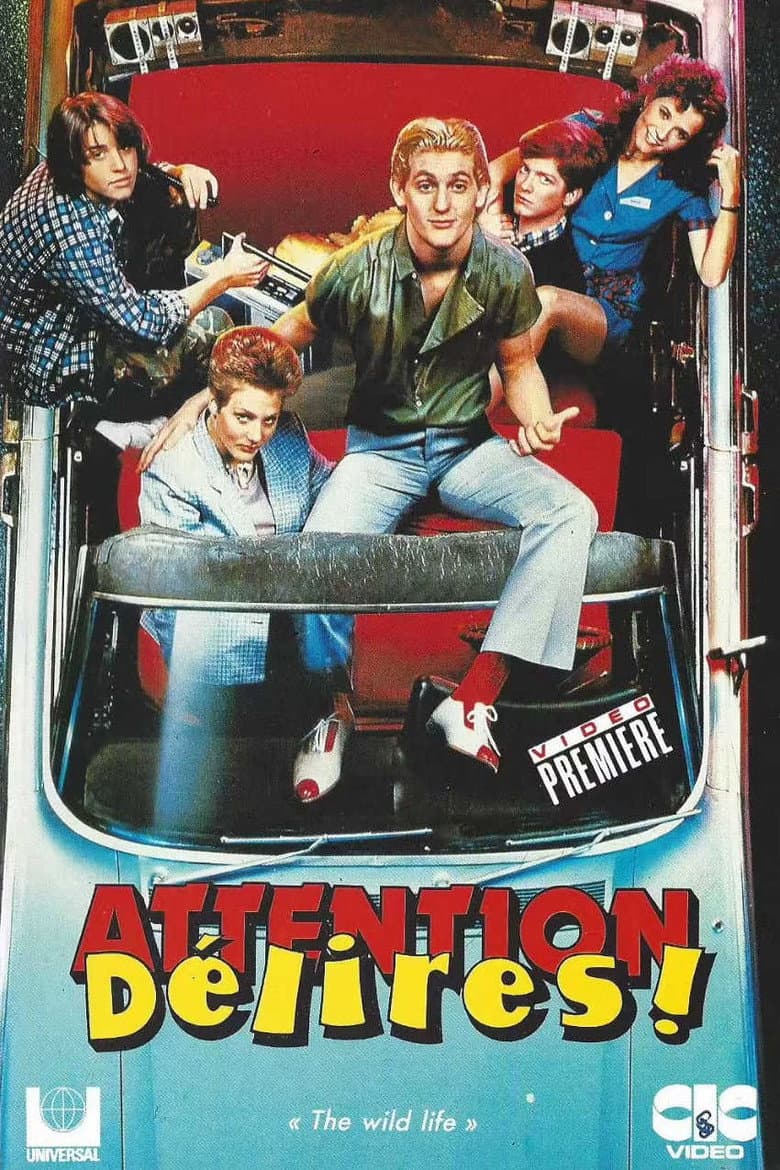 Affiche de Attention délires !