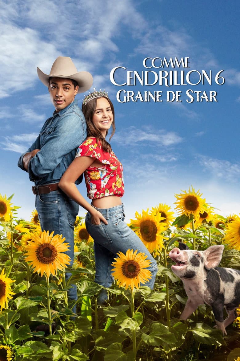 Affiche de Comme Cendrillon 6 : Graine De Star