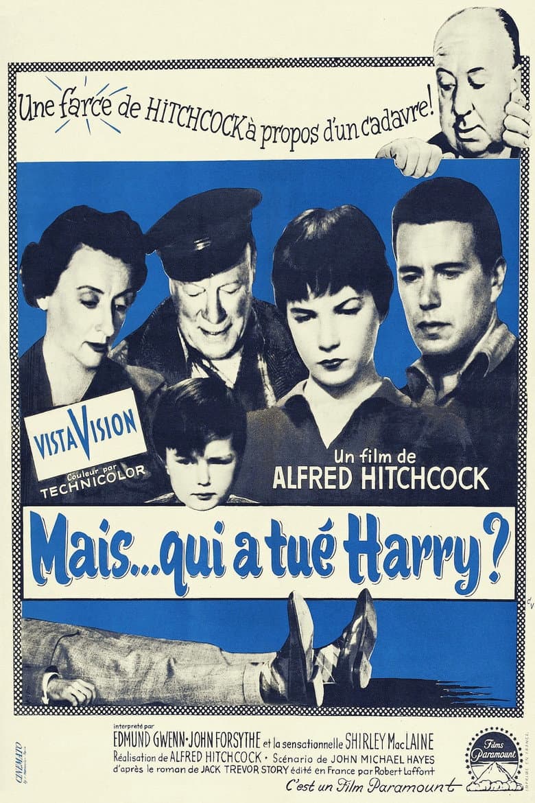 Affiche de Mais… qui a tué Harry ?