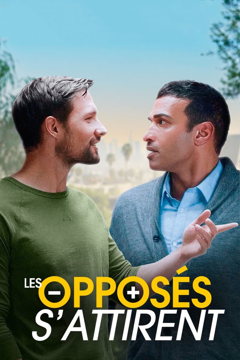 Affiche de Les Opposés s'attirent