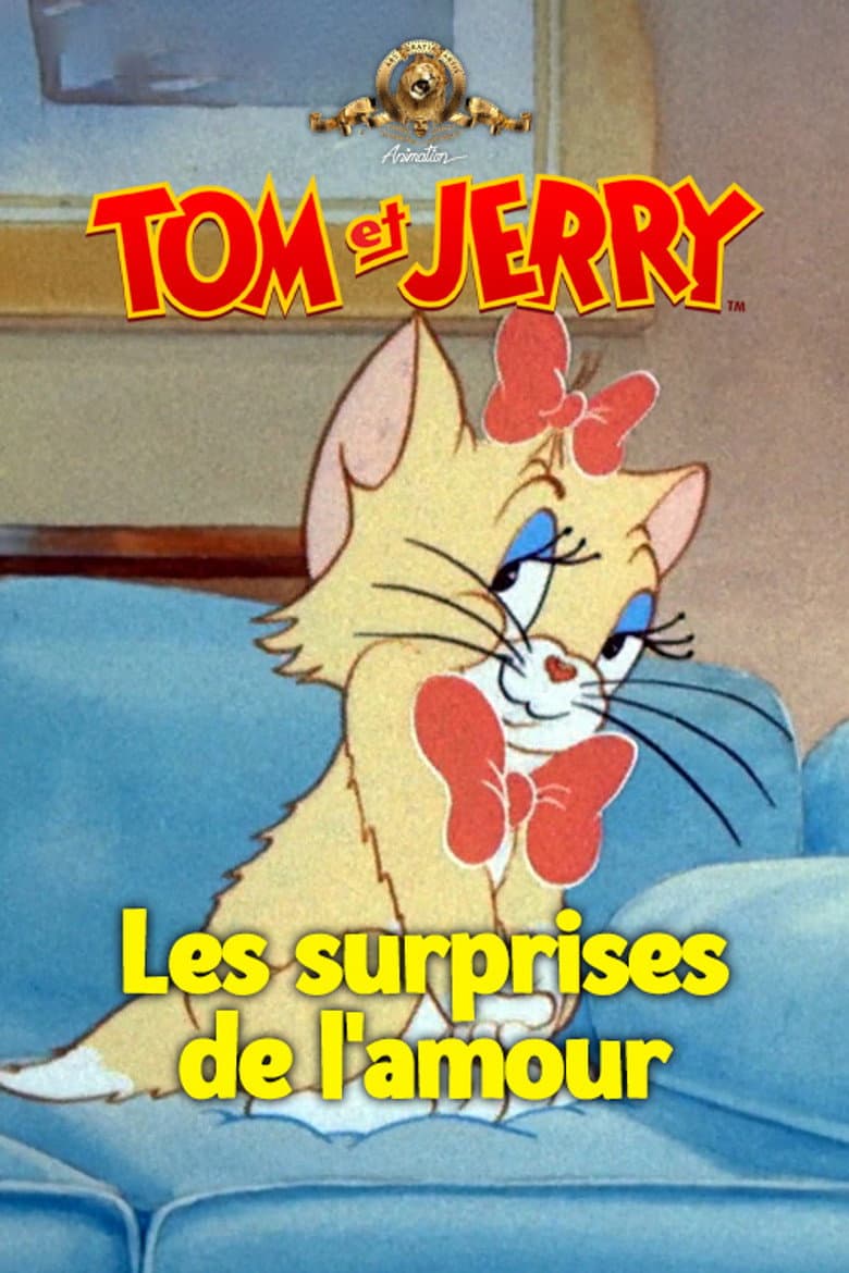 Affiche de Les surprises de l'amour