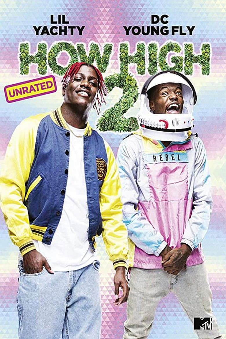 Affiche de How High 2