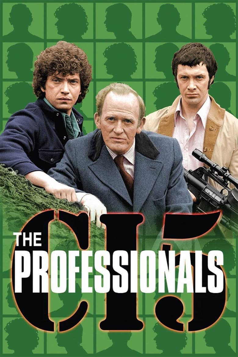 Affiche de Les Professionnels