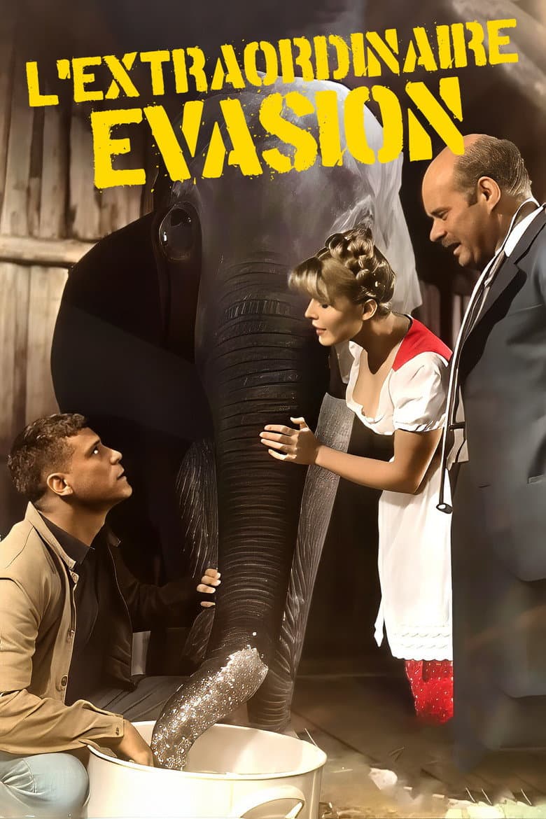 Affiche de L'extraordinaire évasion