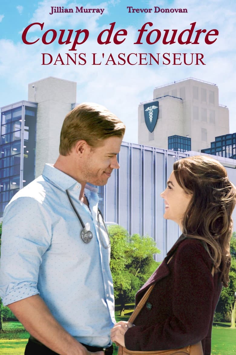 Affiche de Coup de foudre dans l'ascenseur
