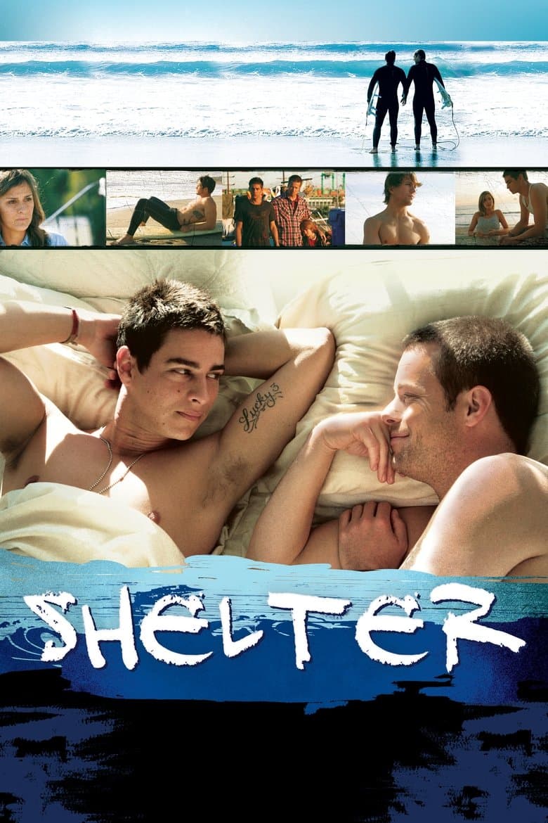 Affiche de Shelter