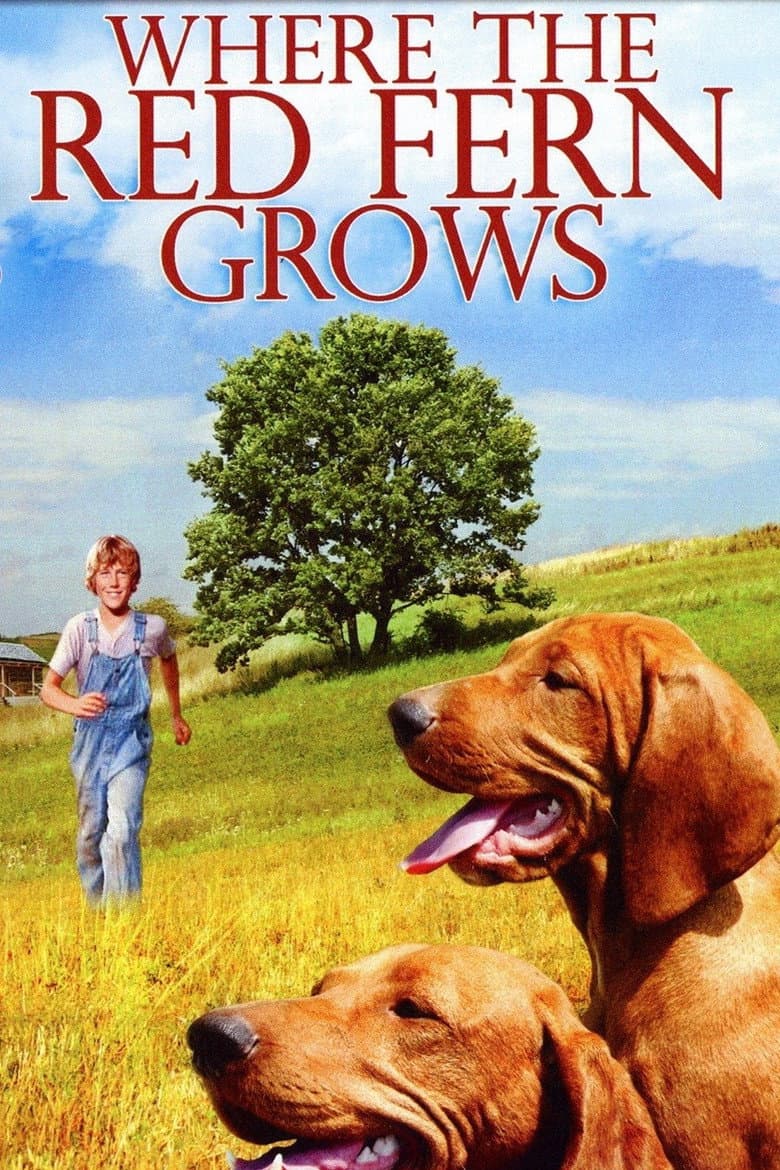 Affiche de Where the Red Fern Grows