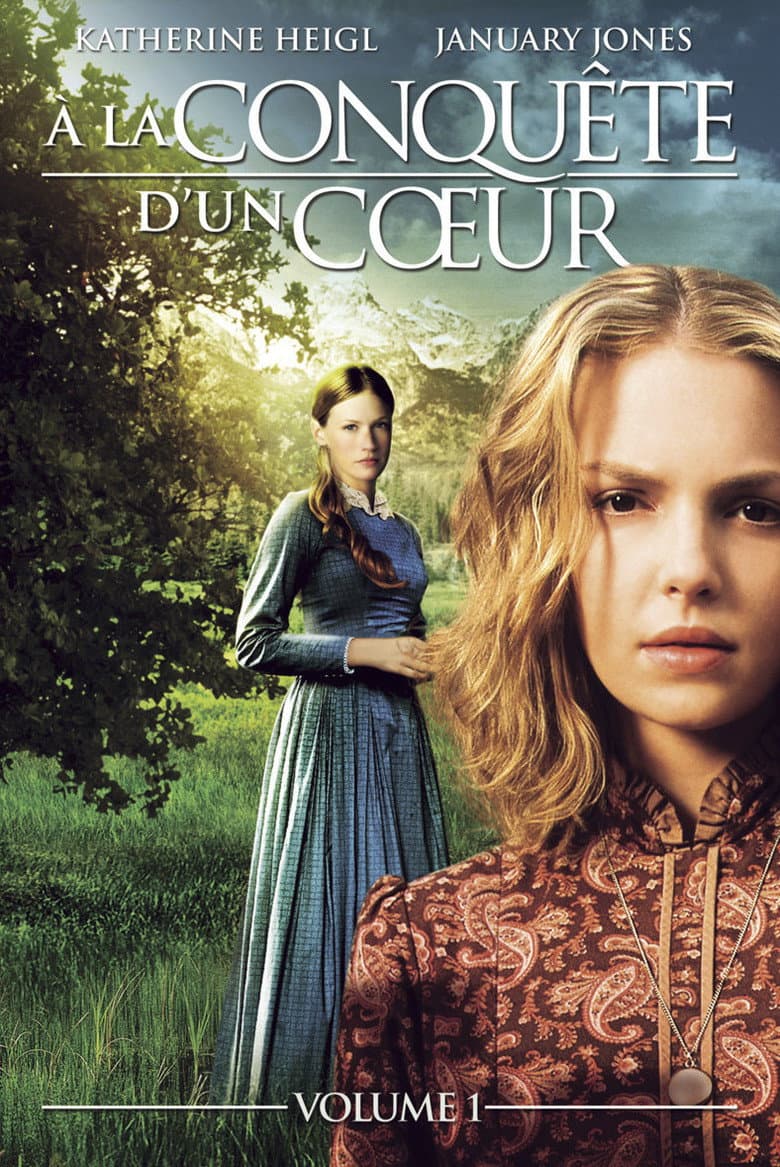 Affiche de À la conquête d'un cœur