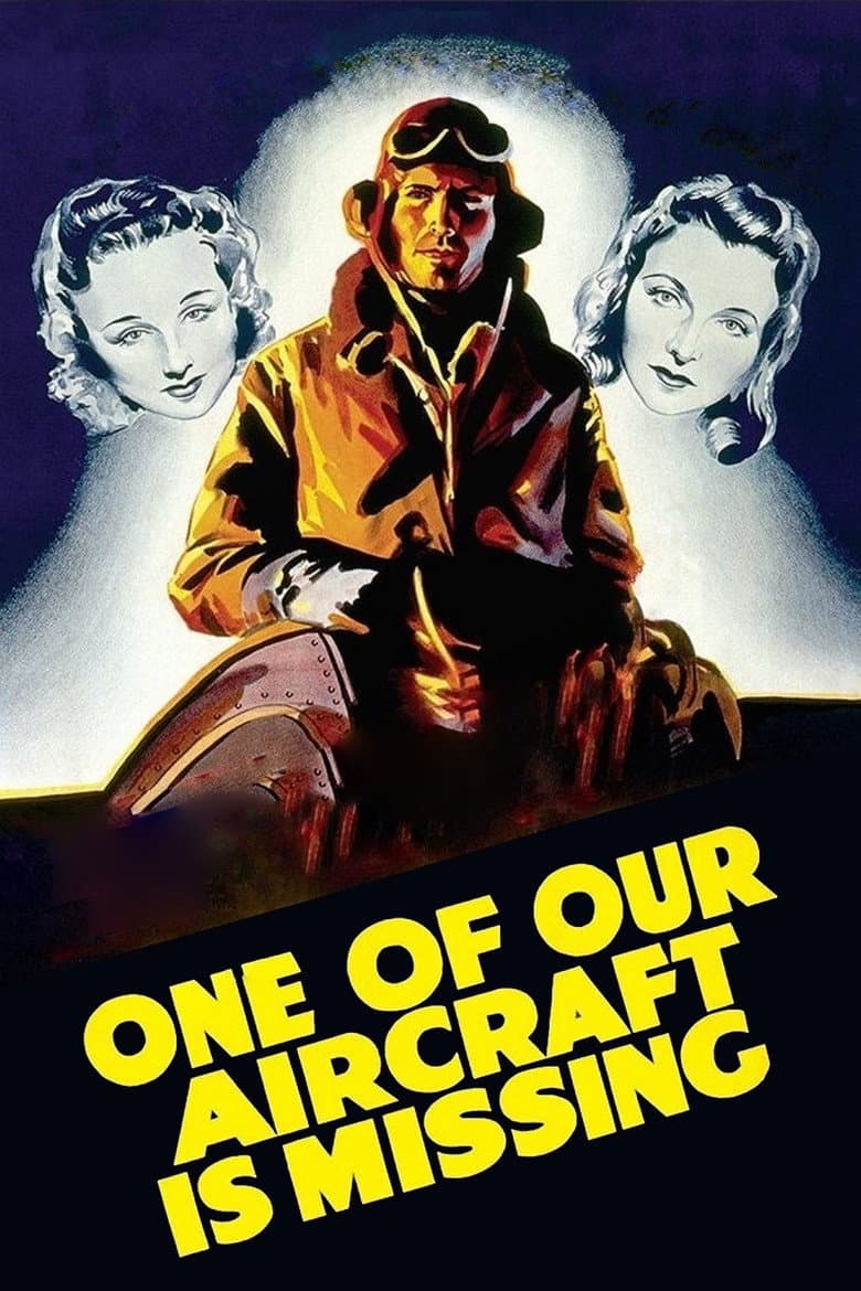 Affiche de Un de nos avions n'est pas rentré