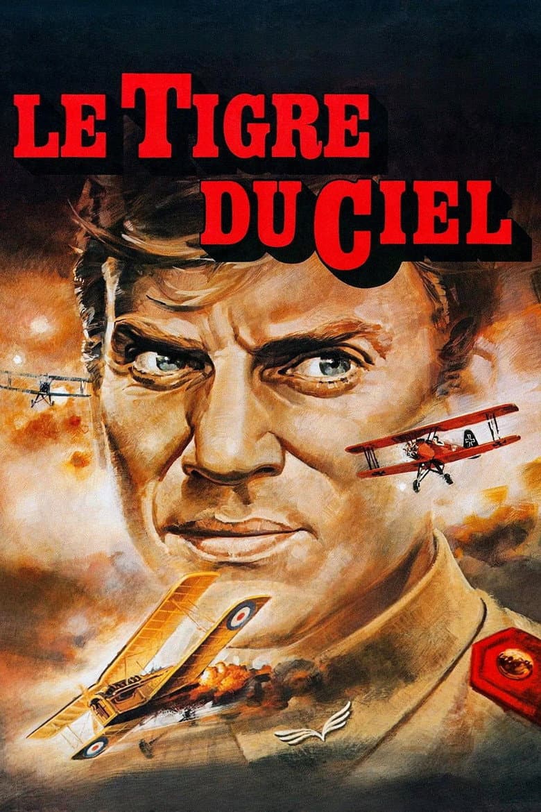 Affiche de Le Tigre du ciel