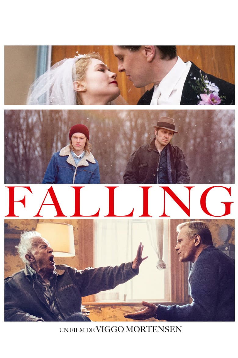 Affiche de Falling