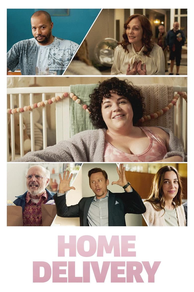 Affiche de Home Delivery
