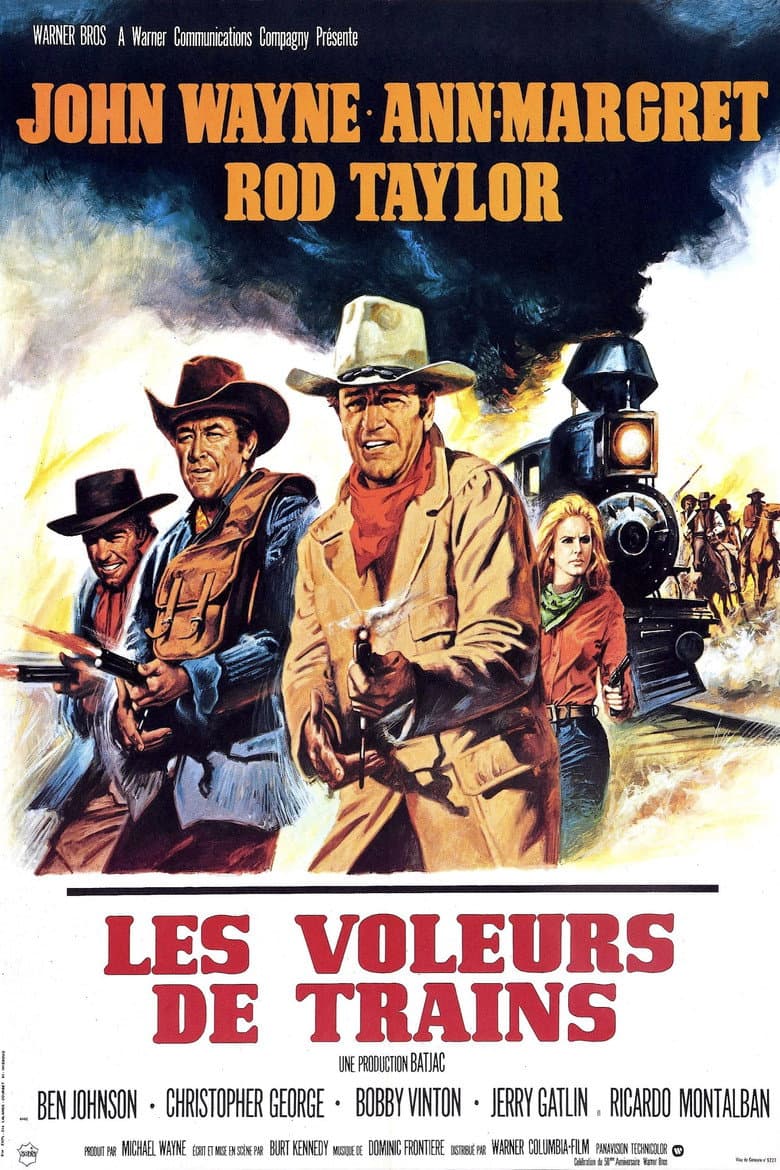Affiche de Les Voleurs de Trains