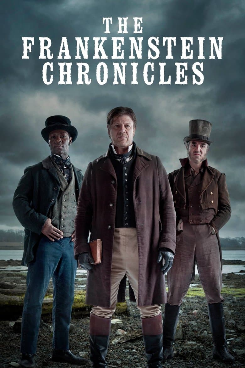 Affiche de The Frankenstein Chronicles