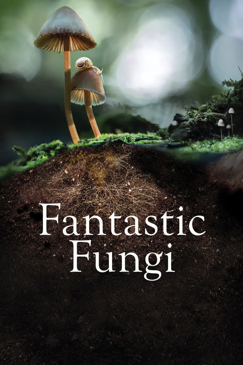 Affiche de Fantastic Fungi
