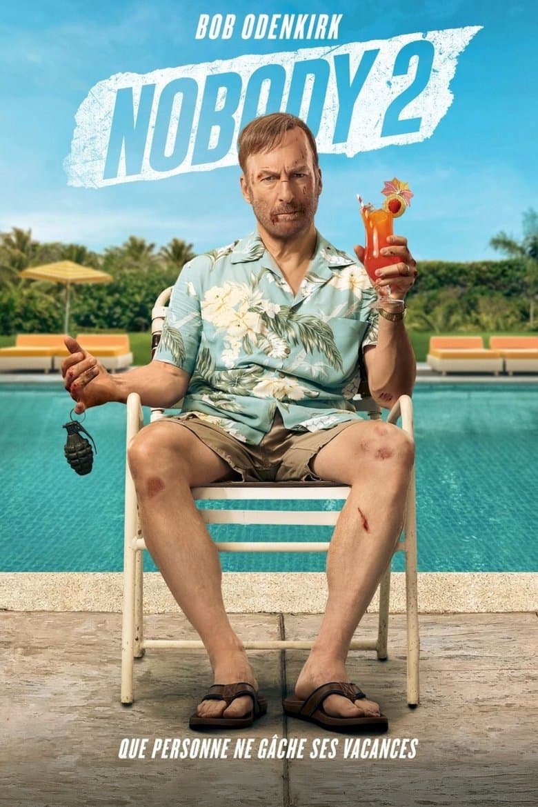 Affiche de Nobody 2