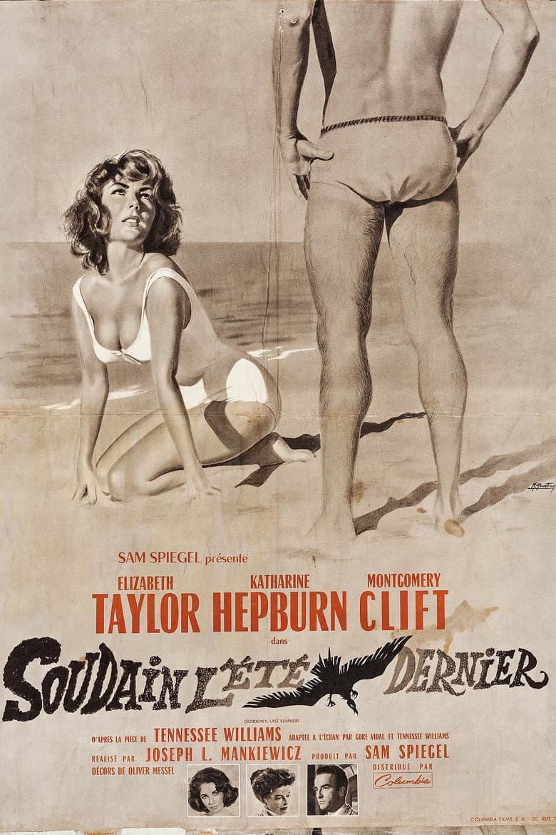 Affiche de Soudain l'été dernier
