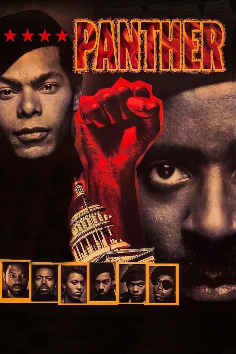 Affiche de Panther
