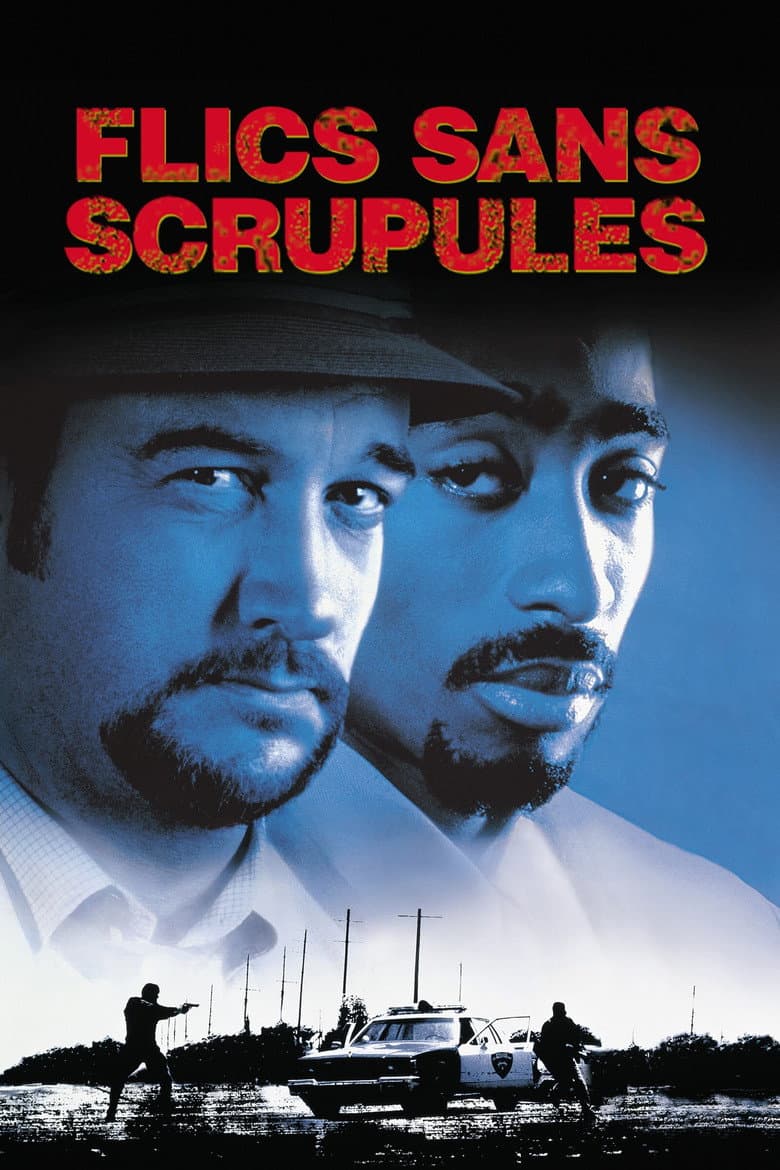 Affiche de Flics sans scrupules
