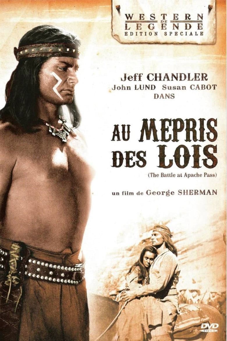 Affiche de Au mépris des lois