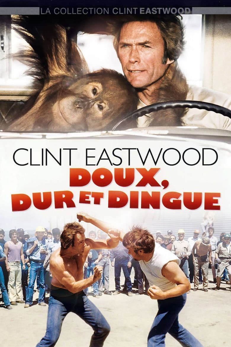 Affiche de Doux, dur et dingue
