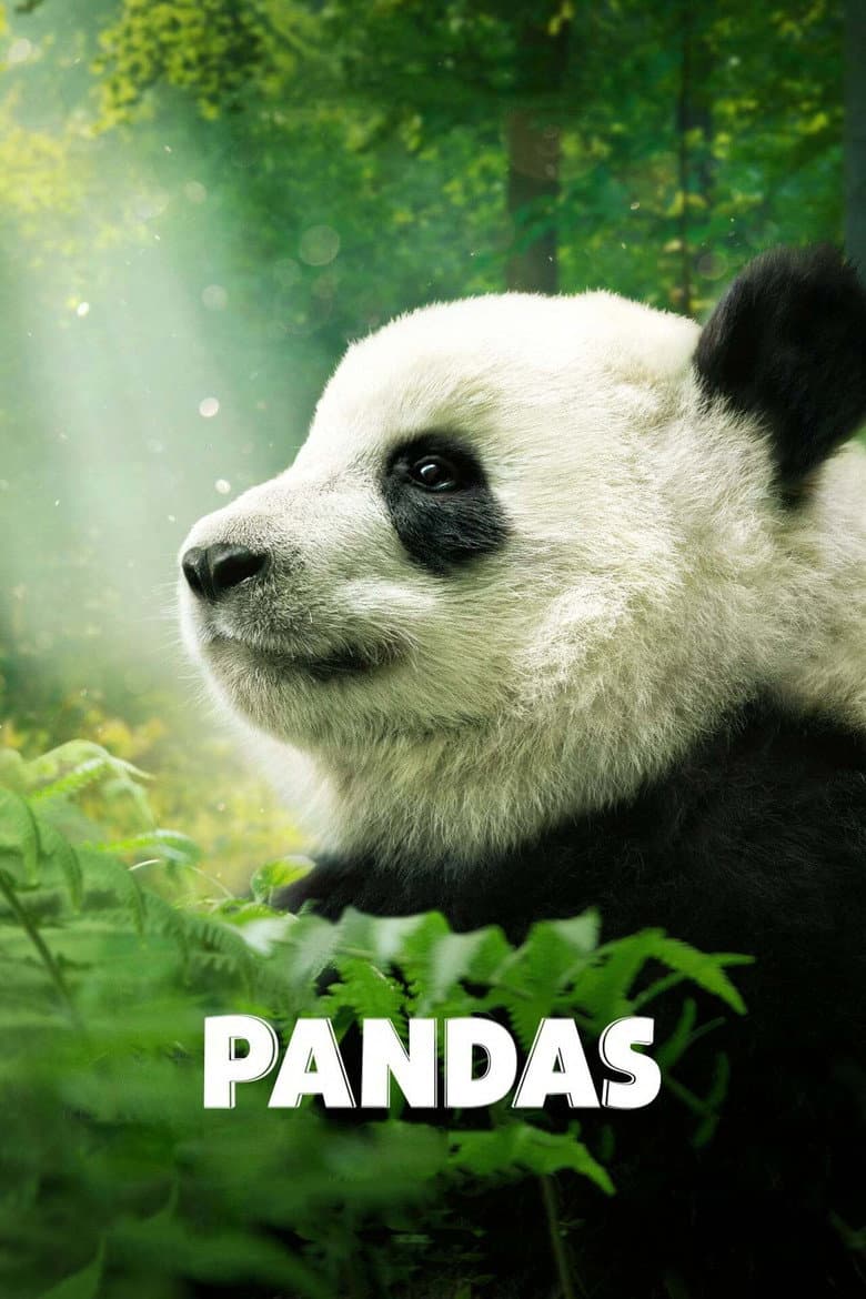 Affiche de Pandas