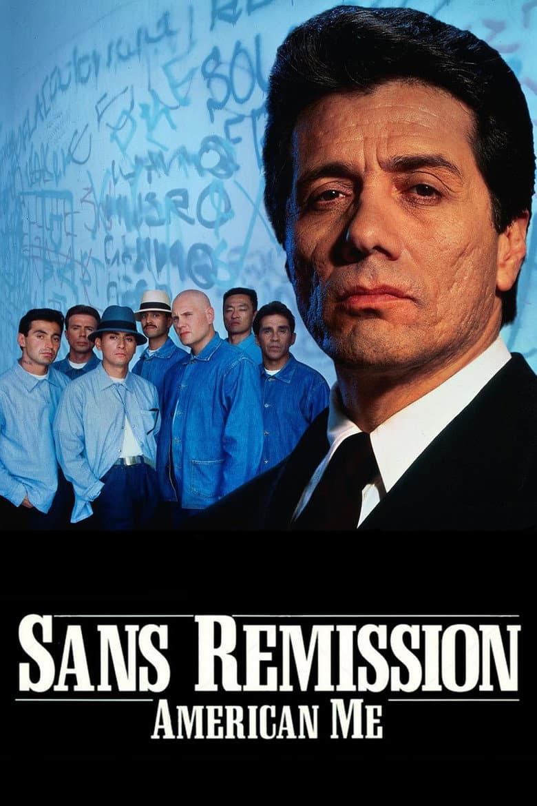 Affiche de Sans rémission