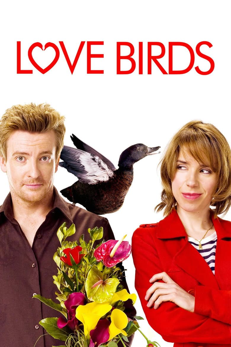 Affiche de Love Birds
