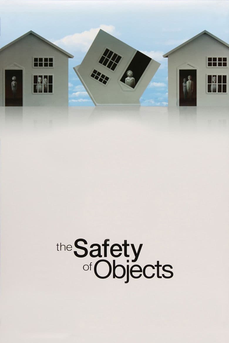 Affiche de The Safety of Objects