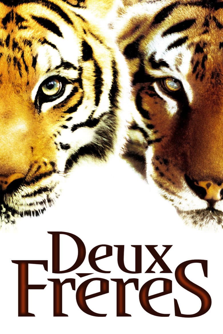Affiche de Deux Frères