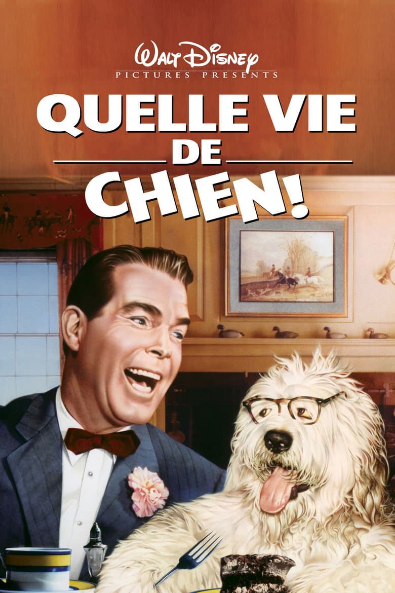 Affiche de Quelle vie de chien !