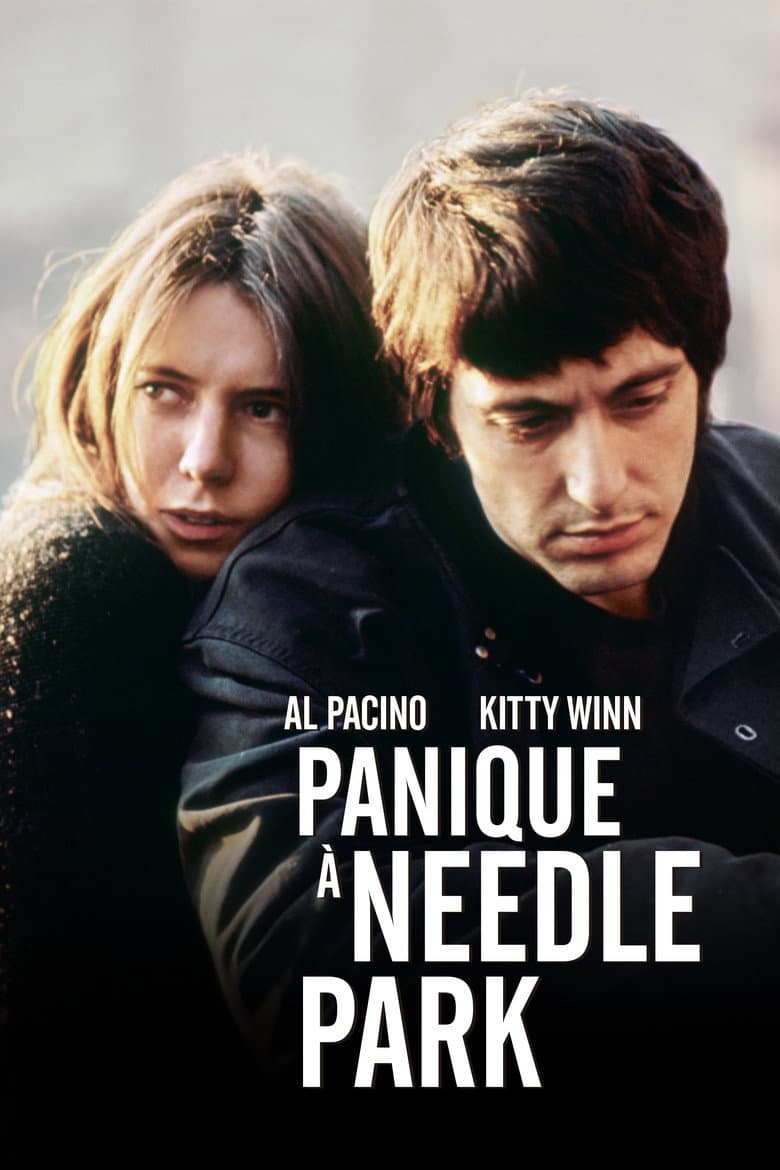 Affiche de Panique à Needle Park