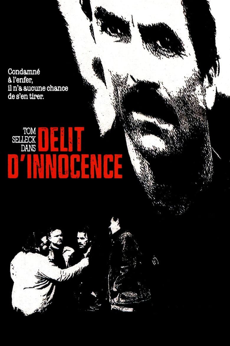 Affiche de Délit d'innocence
