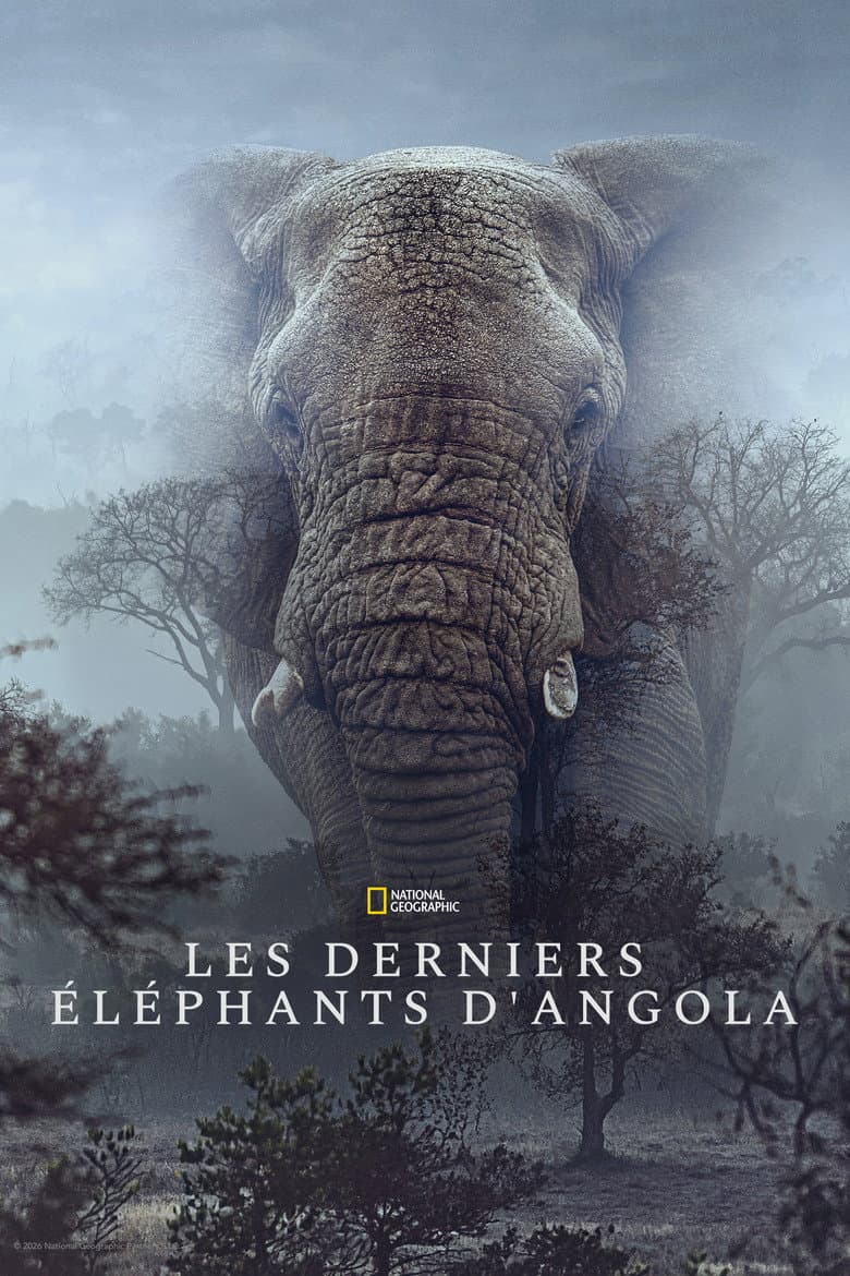 Affiche de Ghost Elephants