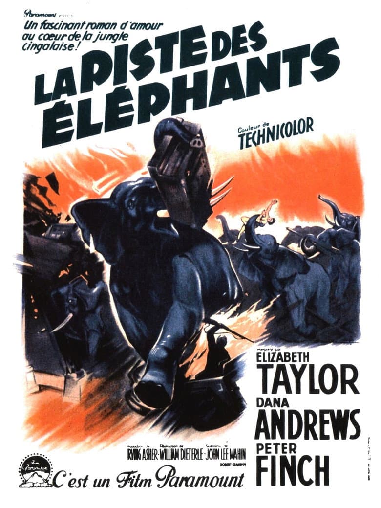 Affiche de La Piste des éléphants