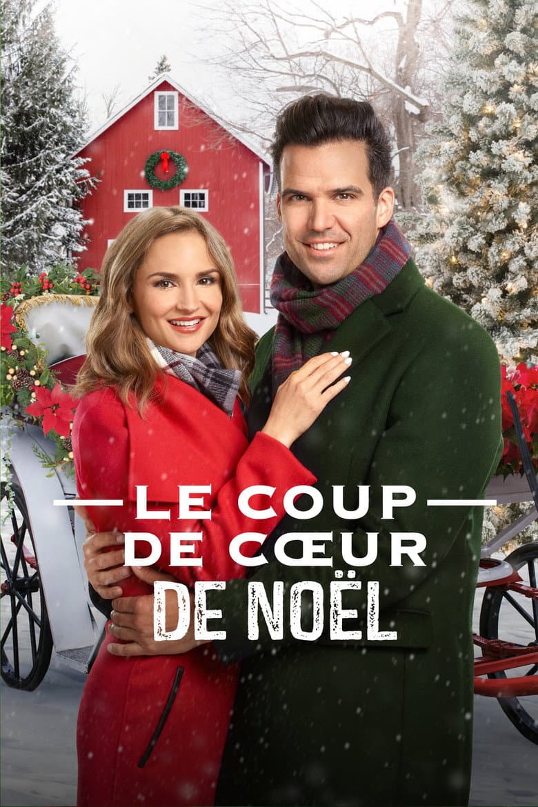 Affiche de Le coup de cœur de Noël