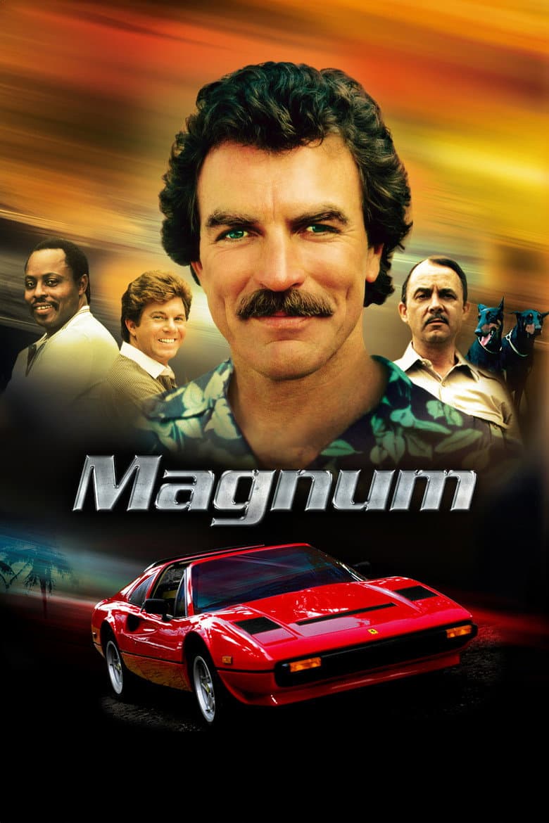 Affiche de Magnum