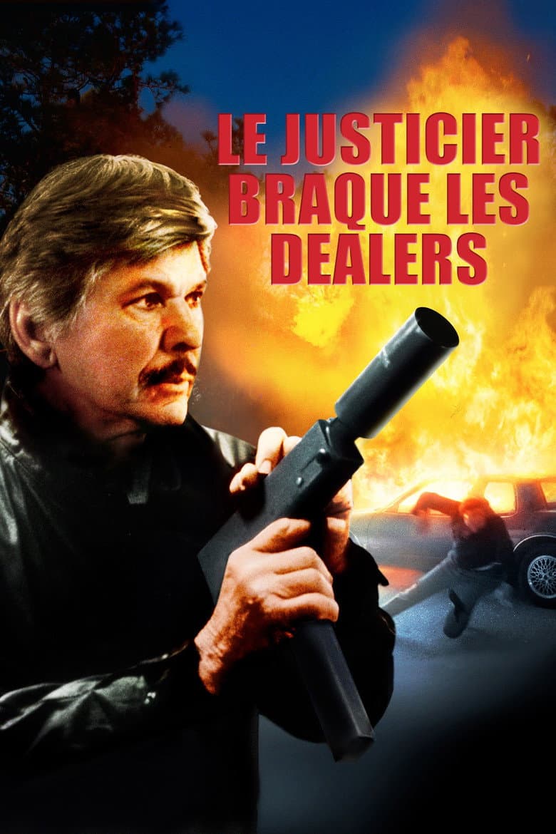 Affiche de Le justicier braque les dealers