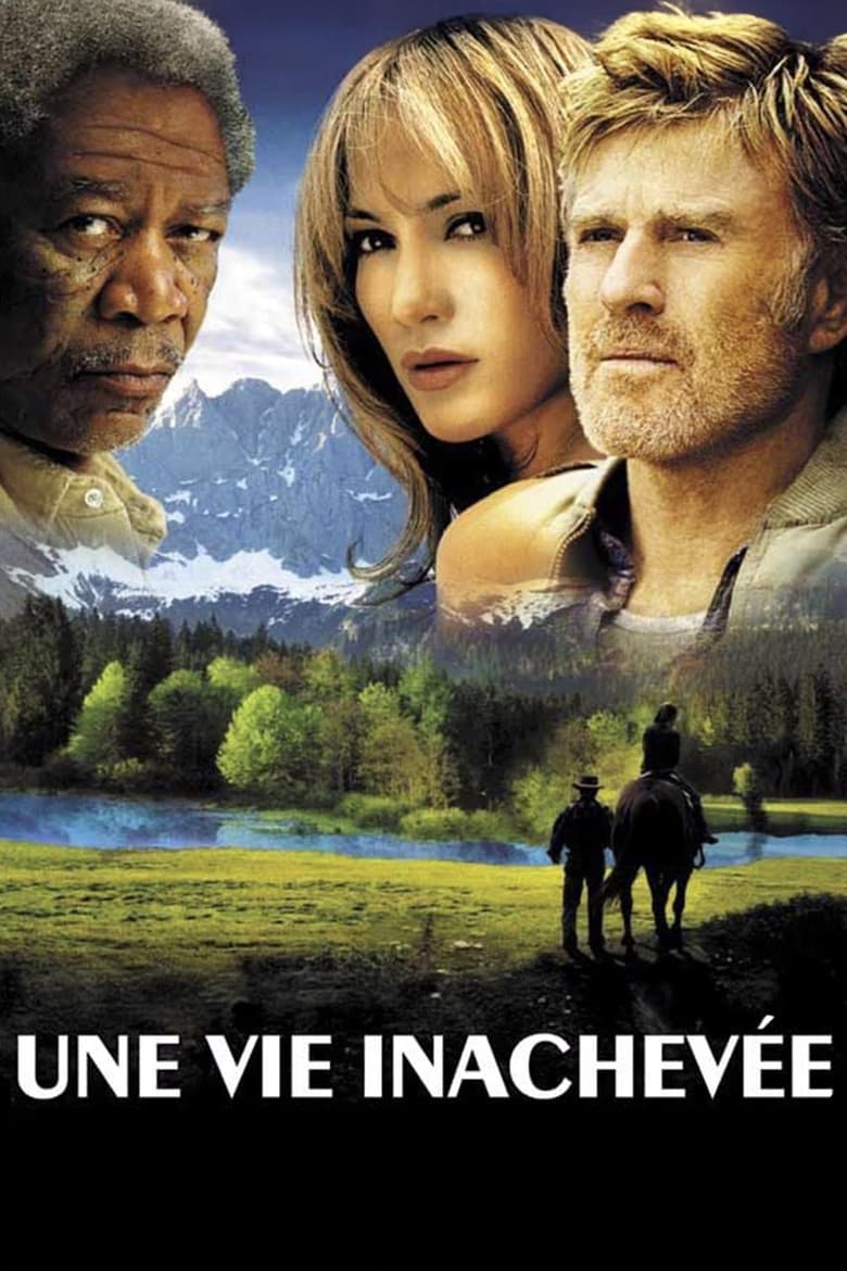 Affiche de Une Vie Inachevée